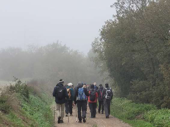 Camí de Sant Jaume: de La Panadella a Vergós