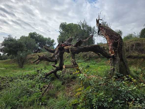 De Torre Baró a Plaça Karl Marx, per Passeig de les Aigües