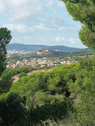 Tiana i Serralada de Marina