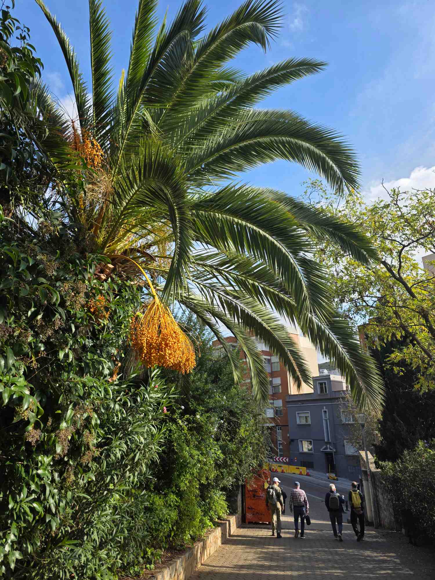 Del Mercat de la Vall d’Hebron a la Plaça de Santes Creus